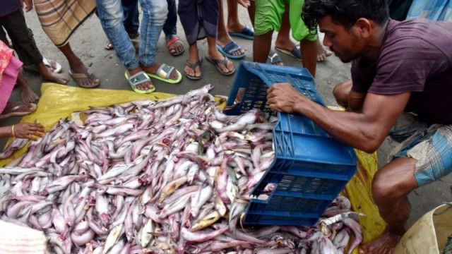 উৎপাদন বাড়ছে মাছের, তবুও নাগালে নেই দাম