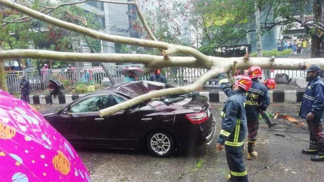 রেমালের প্রভাবে রাজধানীর বিভিন্ন স্থানে ভেঙে পড়েছে গাছ