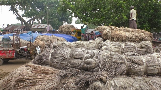 সুদিন ফিরছেনা সোনালি আঁশের