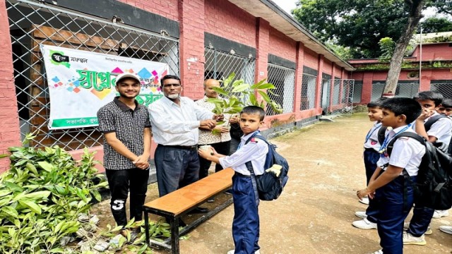 নওগাঁয় স্কুল শিক্ষার্থীদের মাঝে চারা বিতরণ